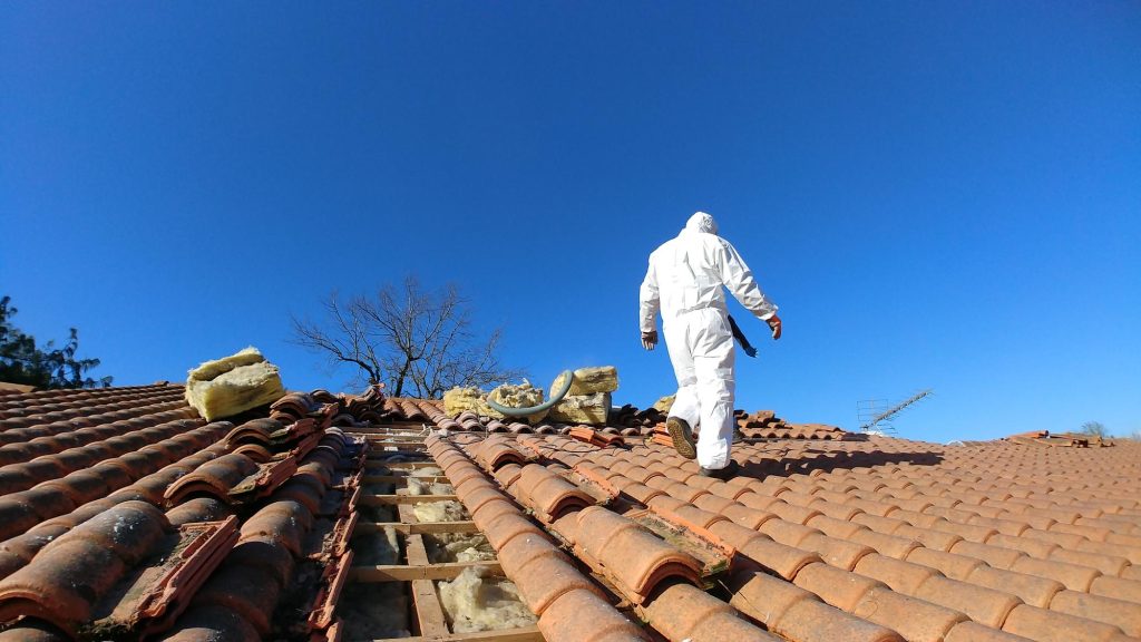 Intervention de dératisation 